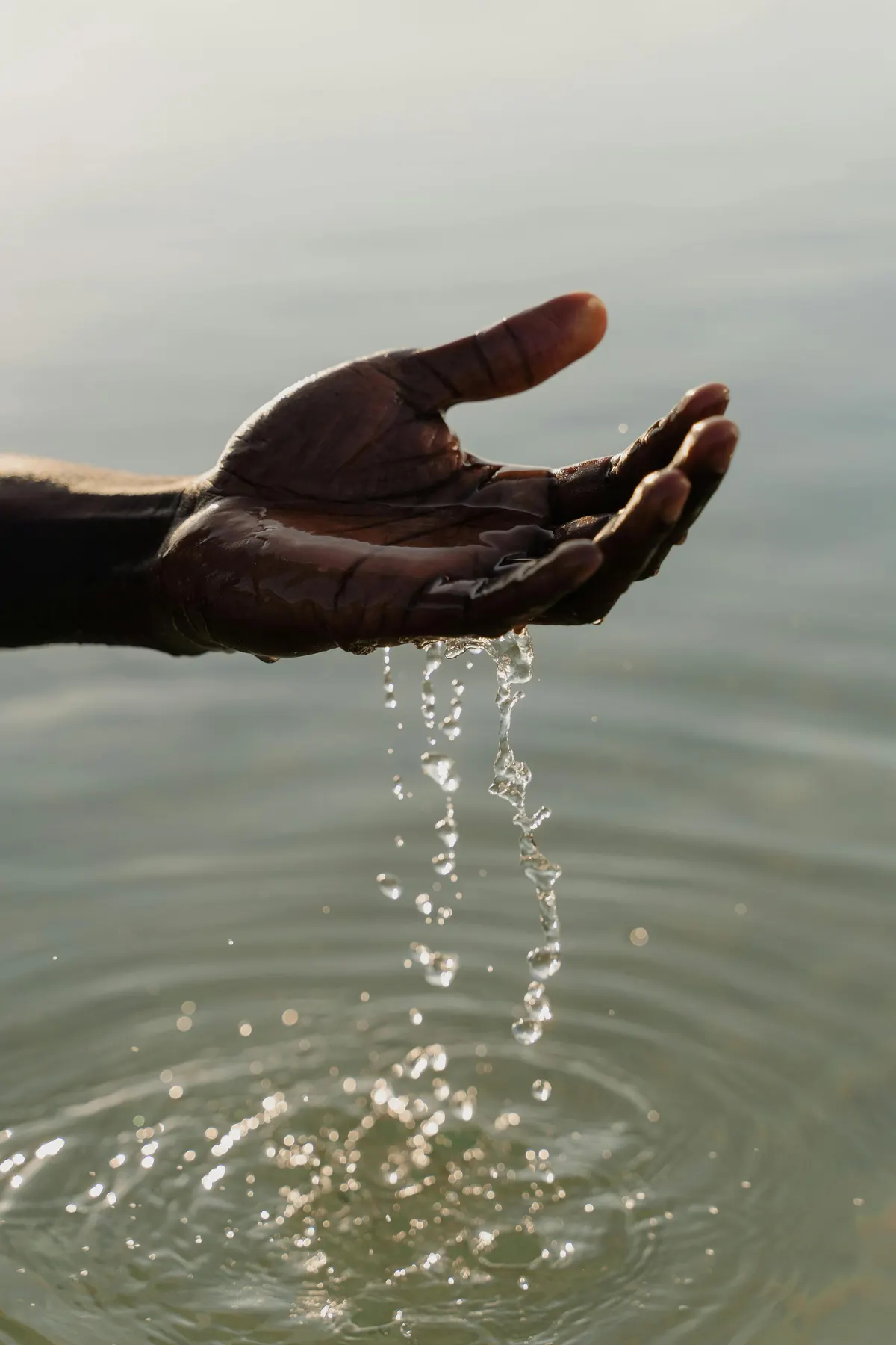 Water phase image