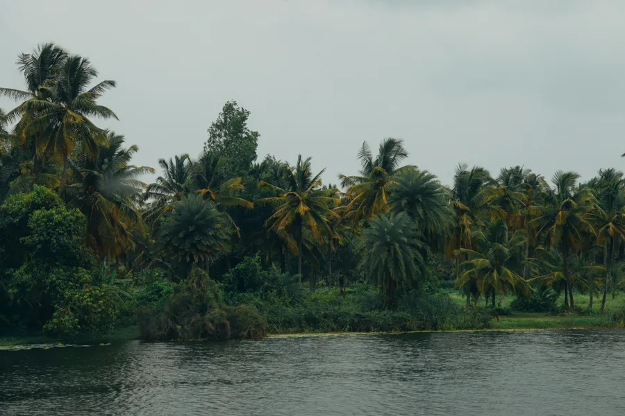 A pirogue on Lake Nokoué